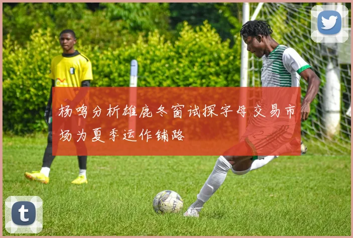 杨鸣分析雄鹿冬窗试探字母交易市场为夏季运作铺路